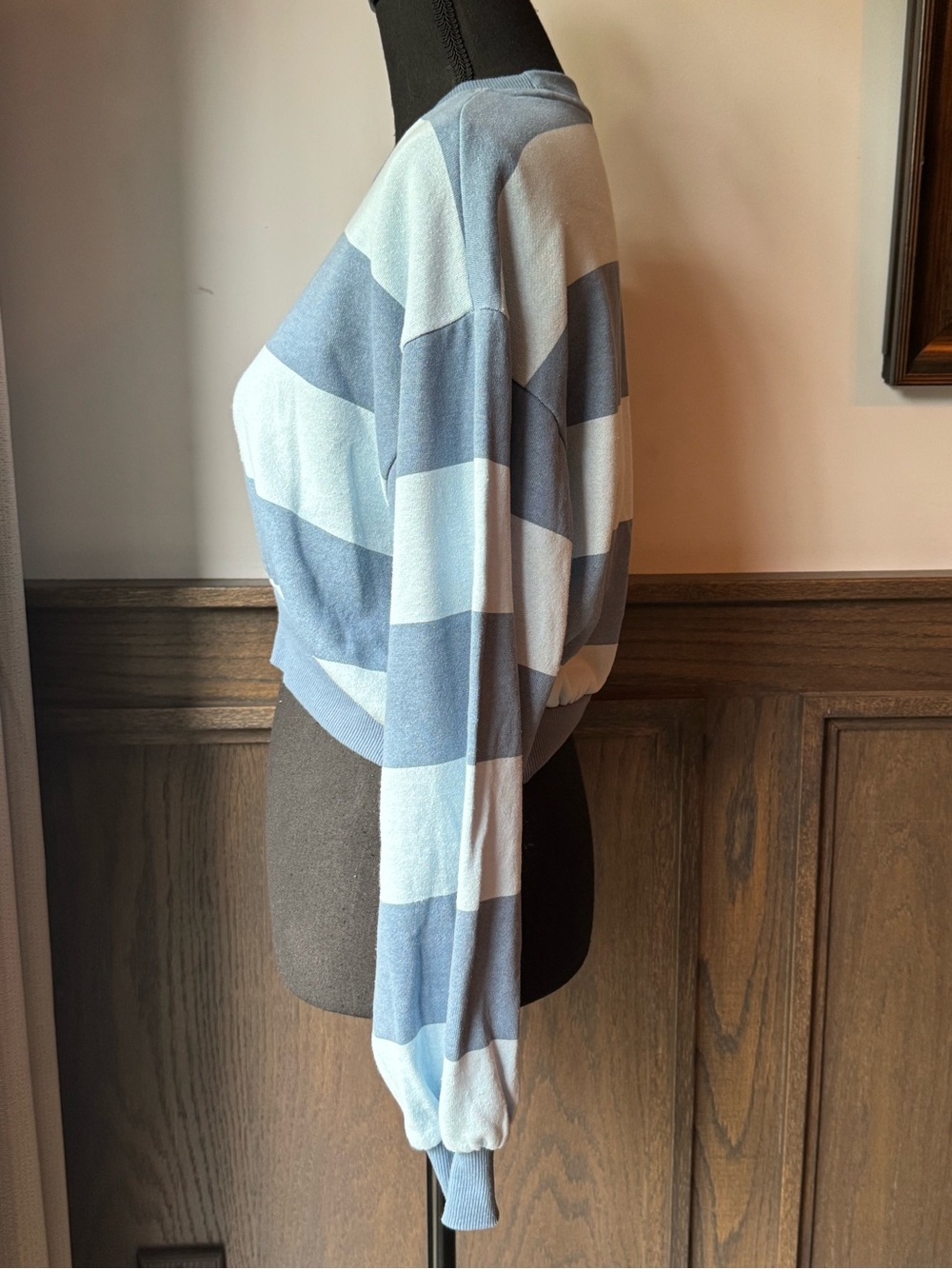 Strawberry Shortcake Blue Stripe Cropped Sweater xxs - Picture 3 of 7